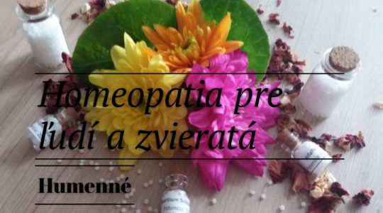 Drahomíra Čamajová SAKHom.