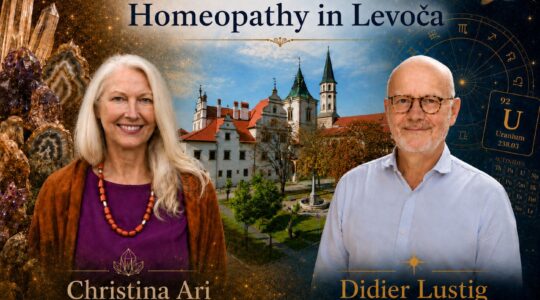 Levoča 2026 - Letná škola - Summer School - Christina Ari - Didier Lustig